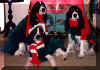 Libby, Minnie & Cally dressed for Santa Claus Parade.