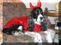 Halloween04.JPG (41431 bytes)