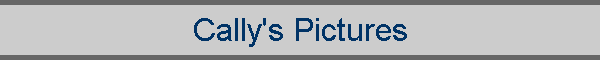 Cally's Pictures