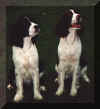 Oliver & Amber in yard