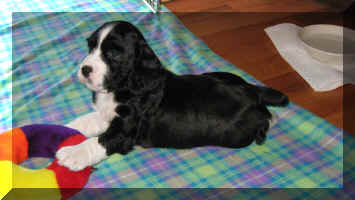 Adelaide poses with the favourite ring toy