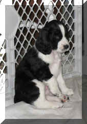 Albert looks like he asks "let me out".