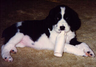 Libby plays with a paper roll